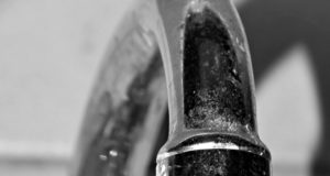 There’s something in the water