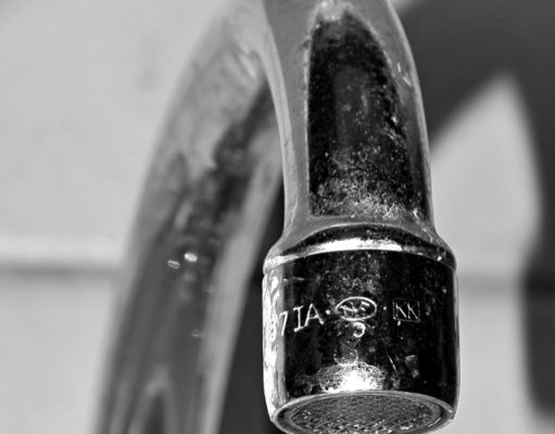 There’s something in the water