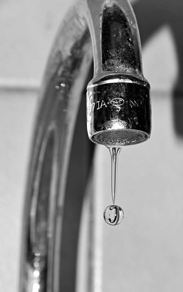 There’s something  in the water