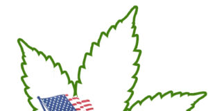 Reading the entrails: The latest marijuana polls