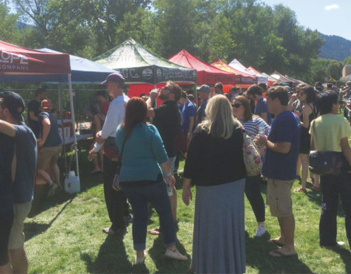 Tour de brew: All the brew