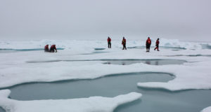 Vanishing ice; Planting trees