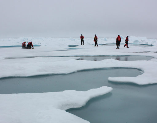Vanishing ice; Planting trees