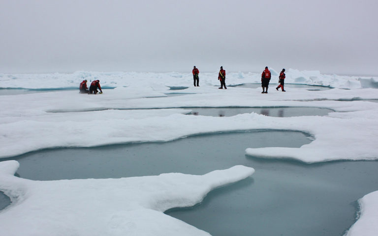 Vanishing ice; Planting trees