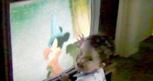 The power of a magic feather