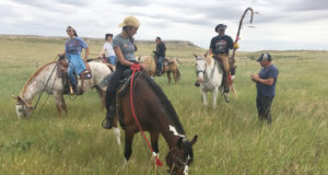 Moving in seven directions