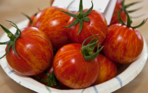 Taste tomatoes to your heart’s content Saturday in Longmont.