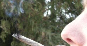 One in eight adults consume cannabis