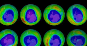 Signs of recovery; Settled spill dispute