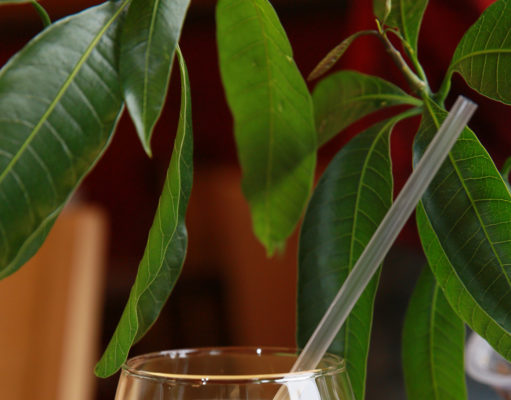 My kingdom for a mango lassi