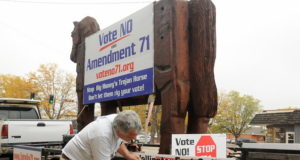 Modernizing the canvass process for citizen initiatives