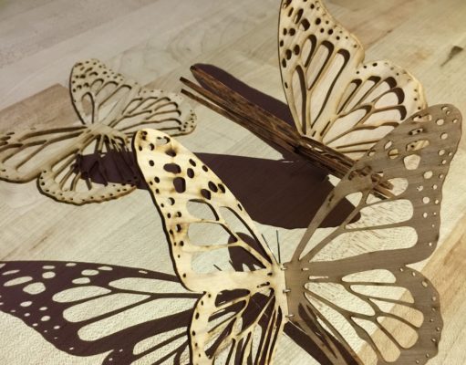 Metamorphosis