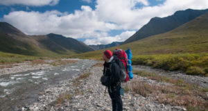 Composers go into the wild and come home transformed