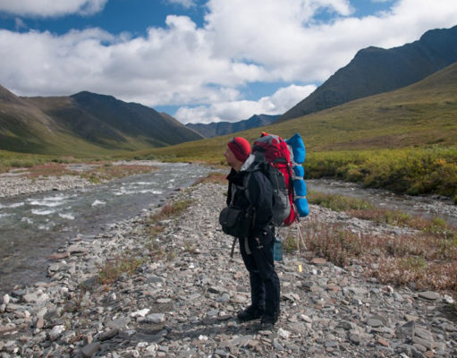 Composers go into the wild and come home transformed
