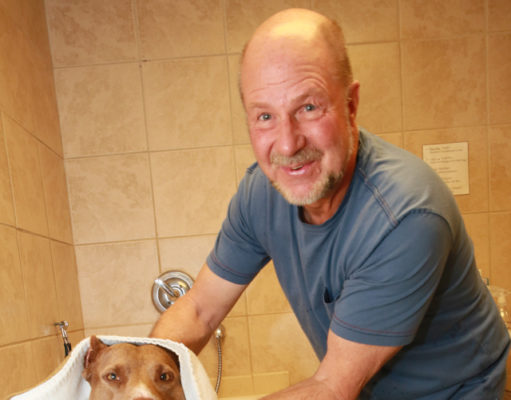 Best of East County 2016 — Retail