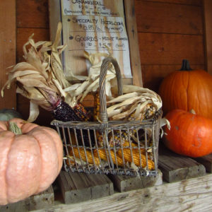 Isabelle Farm in Lafayette