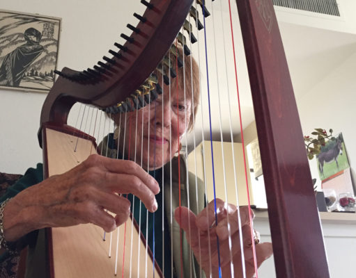 Local author personalizes sustainability