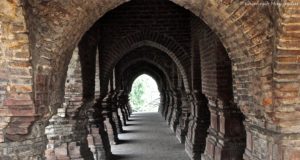 Out with the old: Rethinking marijuana as a gateway drug