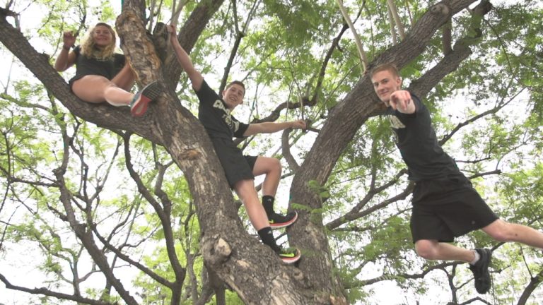 Becoming a ninja