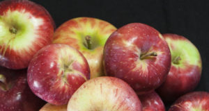 Hacking the new apple