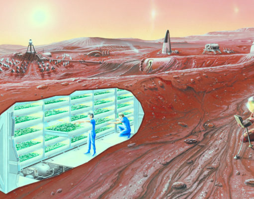 Colonizing Mars the SpaceX way