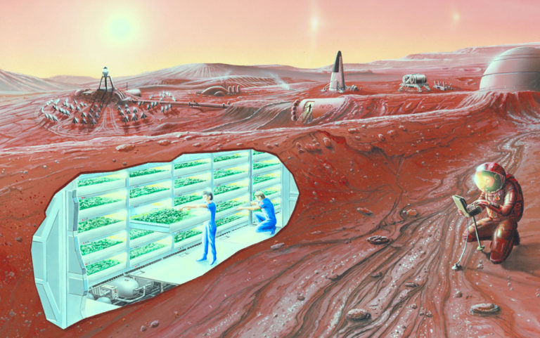 Colonizing Mars the SpaceX way