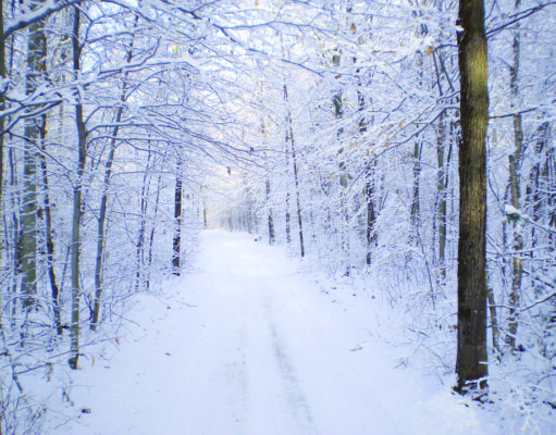 Your guide to hitting the local trails in winter