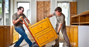 Conservation for All, even renters