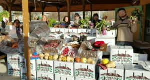 A win-win for everybody