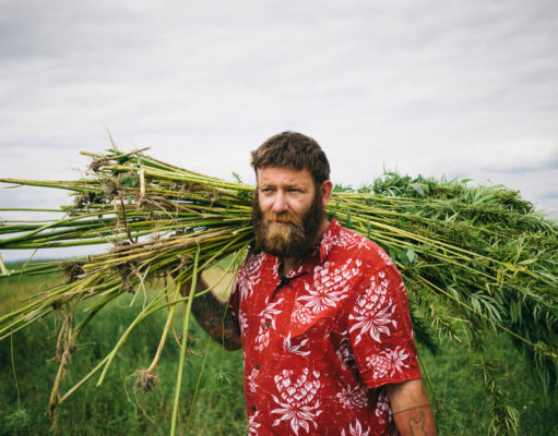 The penguin at the tip of the iceberg, part II