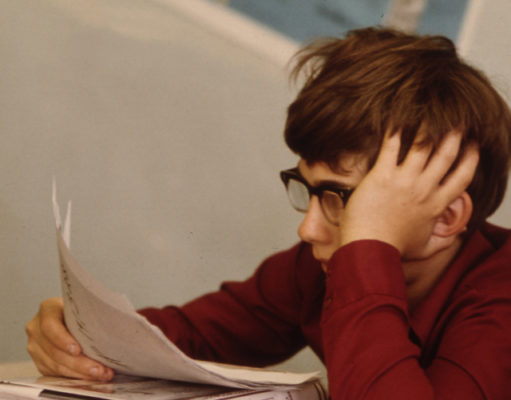 Which brain would you choose?