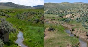 The potential is there