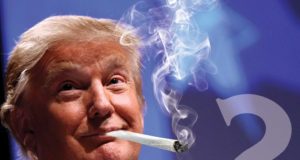 Sorry, we created a world dumb enough for Trump