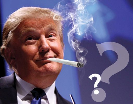 Sorry, we created a world dumb enough for Trump