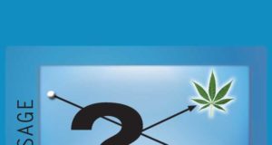 Are people switching from booze to pot?