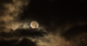 For the sake of the endeavor