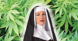 The little sisters of (CBD only) pot re-begin the Beguine