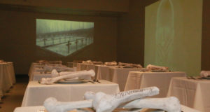 An insatiable appetite