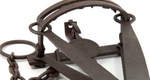 Off Target Part 4: WildEarth Guardians file injunction to halt CPW’s predator management plans