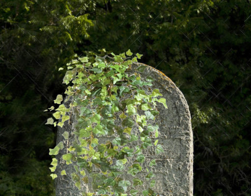 We’ve all got to go some how, so why not go green?