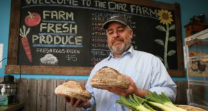 How to choose the right CSA for you