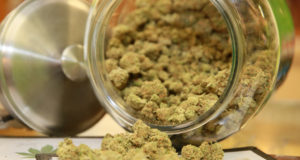 Chemo with cannabinoids (in that order) zap cancer cells