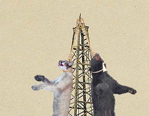 Off Target Part 8: What’s in a name?