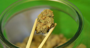 Start-up nation is also stoner nation