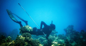 Transformed by the sea