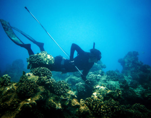 Transformed by the sea