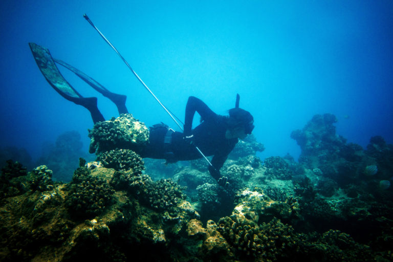 Transformed by the sea