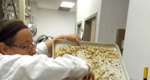 Getting rid of the Harmful 7