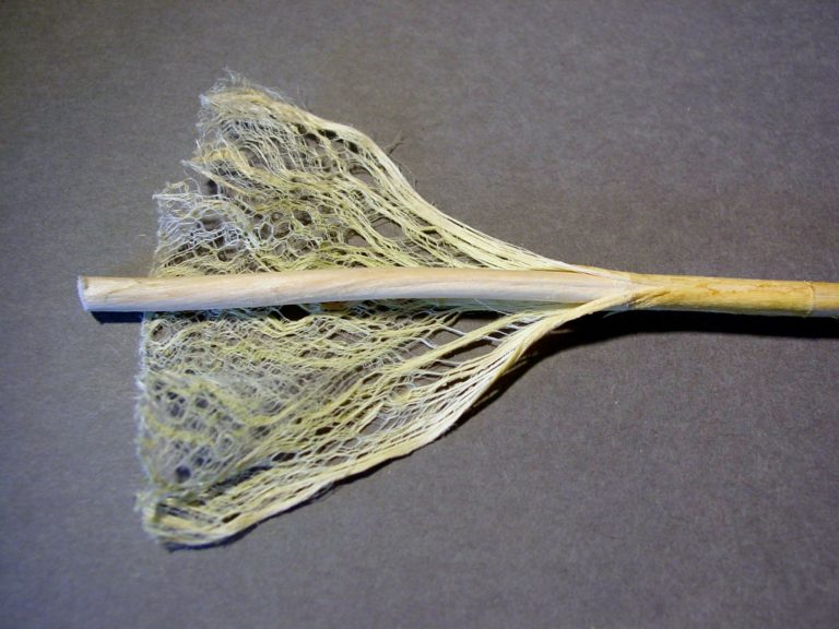 Hemp for victory (but not in Boulder County)