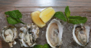 Wild Standard sets the standard